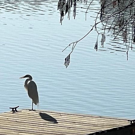 Kingwood Cottage - 10 Mins From Iah - Lake Front Humble Bagian luar foto