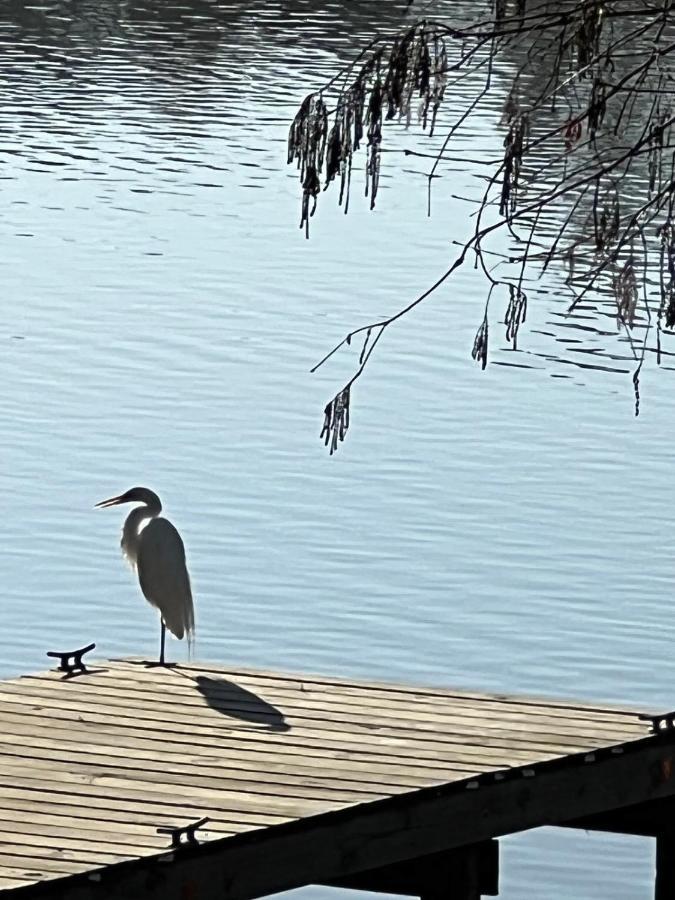 Kingwood Cottage - 10 Mins From Iah - Lake Front Humble Bagian luar foto