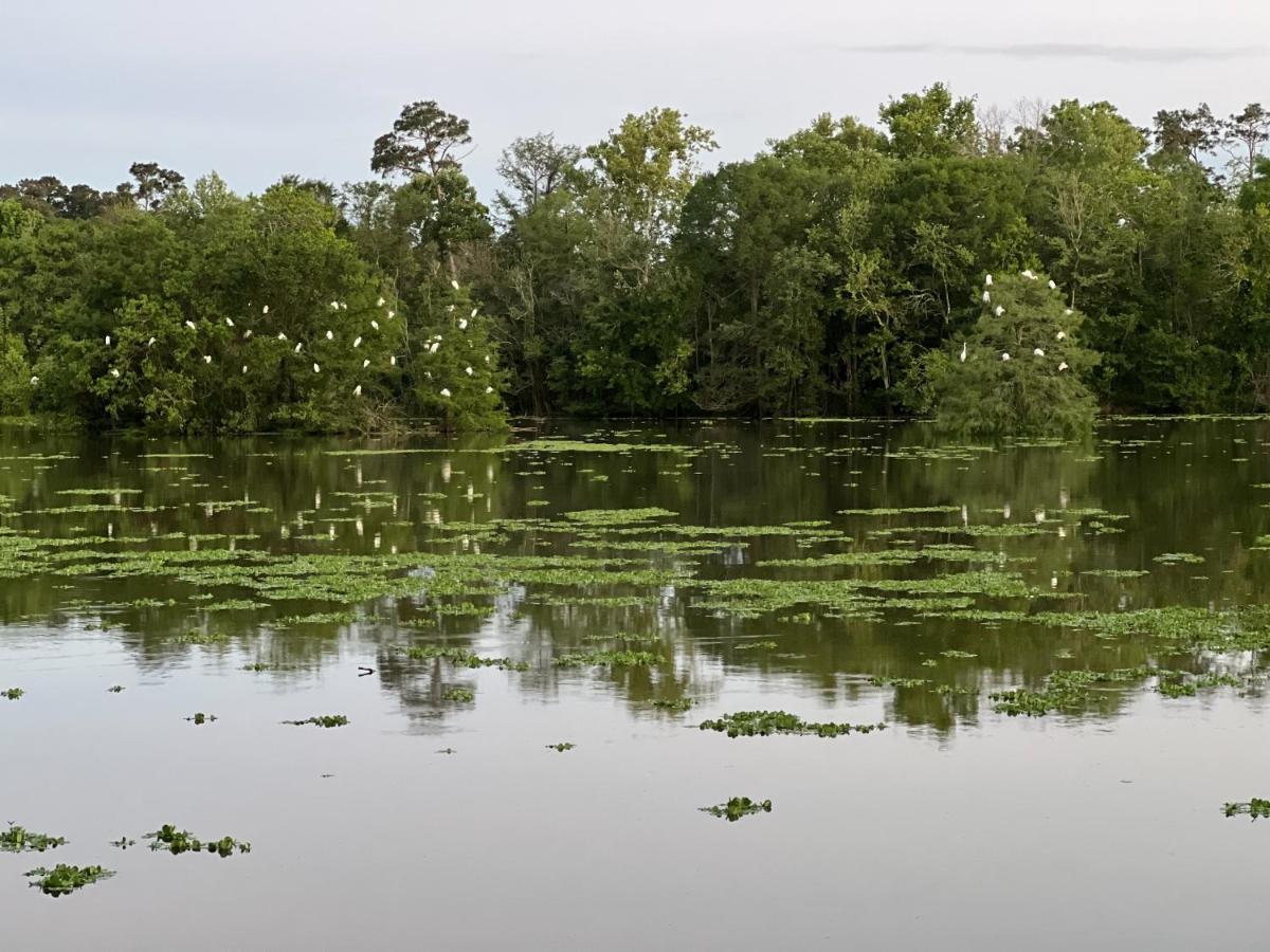 Kingwood Cottage - 10 Mins From Iah - Lake Front Humble Bagian luar foto